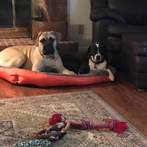 Meet your Posher, Jan